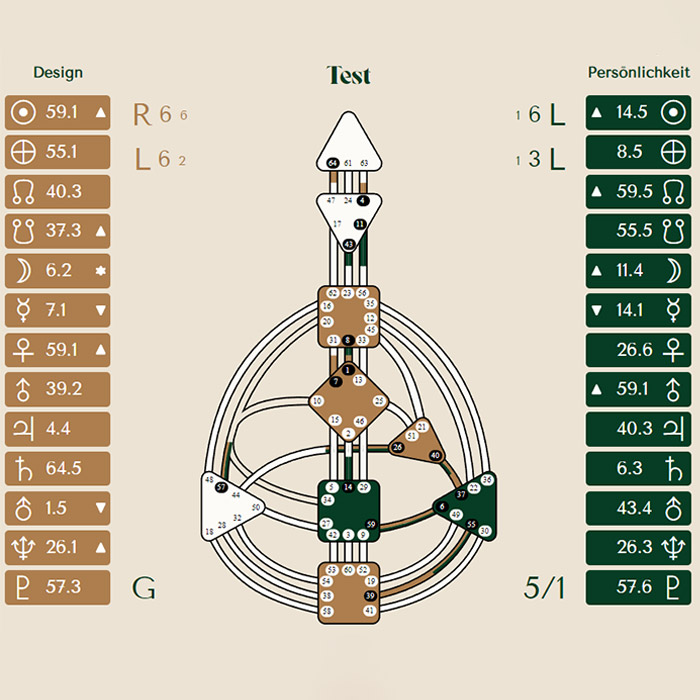 Human Design Rave Chart erstellt von Conny Stöhr Energetikerin in Wiener Neustadt